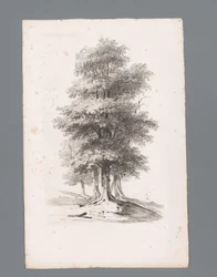 Gruppe mit fünf Bäumen (Anfänge der Landschaften, Serie)