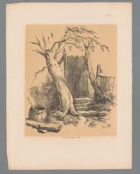 Zaun zwischen zwei Bäumen