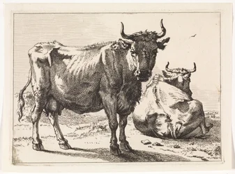 Eine stehende und eine liegende Kuh Das Bullenbuch (Serientitel)