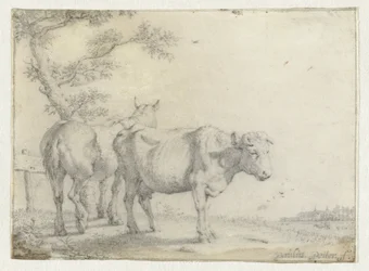 Pferd und eine Kuh bei einem Baum