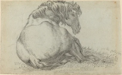 Ruhendes Pferd