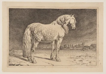 Das Friesenpferd, aus der Serie der Pferde