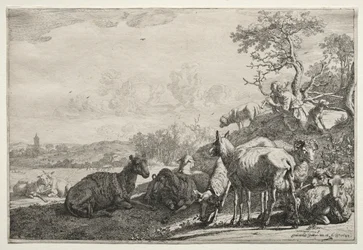 Der Hirte, 1644