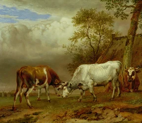 Zwei Bullen mit verschränkten Hörnern, 1653