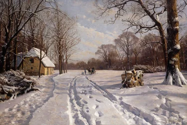 Schlittenfahrt durch eine Winterlandschaft