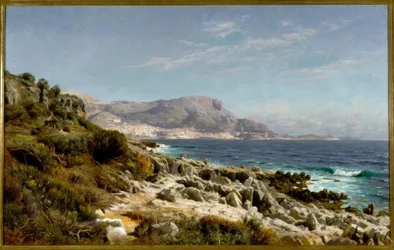 Küste bei Monte Carlo