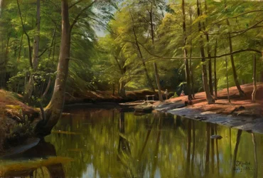 Sommertag am Waldbach