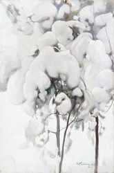 Schneebedeckte Kiefernsämlinge