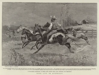 Buschleben in Australien