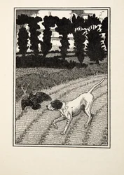 Den Vogelfänger täuschen, aus Hundert Anekdoten über Tiere, veröffentlicht 1924