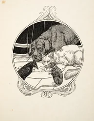 Seltsame Bruderschaft, aus Hundert Anekdoten über Tiere, veröffentlicht 1924