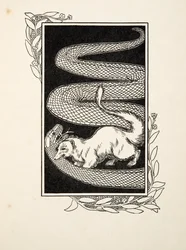 Schlangentöter, aus Hundert Anekdoten von Tieren, veröffentlicht 1924 (Gravur)