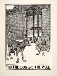 Der Hund und der Wolf, aus Hundert Fabeln von Äsop, veröffentlicht 1903 (Gravur)