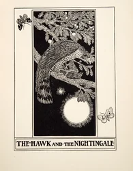 Der Falke und die Nachtigall, aus Hundert Fabeln von Aesop, veröffentlicht 1903