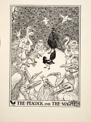 Der Pfau und die Elster, aus Hundert Fabeln von Äsop, veröffentlicht 1903 (Gravur)