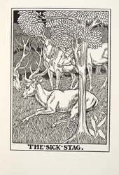 Der kranke Hirsch, aus Fontaine Fabeln, veröffentlicht 1905