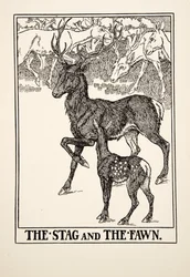 Der Hirsch und das Rehkitz, aus Hundert Fabeln von Äsop, veröffentlicht 1903