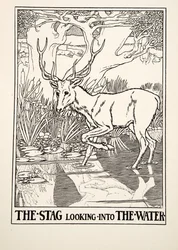 Der Hirsch, der ins Wasser schaut, aus Hundert Fabeln von Äsop, veröffentlicht 1903 (Gravur)