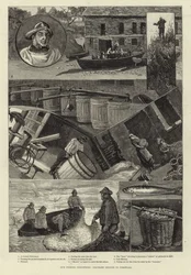 Unsere Fischereiindustrie: Pilchard-Seining in Cornwall