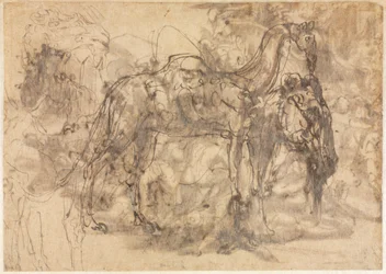 Tierskizzen verso, um 1545-47