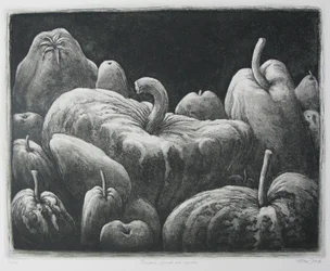 Kürbisse, Kürbisse und Zucchini