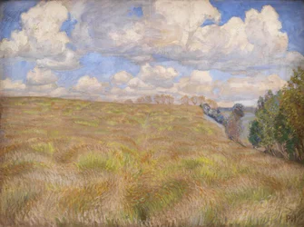 Ein Feld mit wogendem Roggen