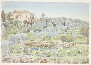 Berghang mit Olivenbäumen und einer Villa