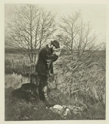 An der Deckungsecke (Norfolk)