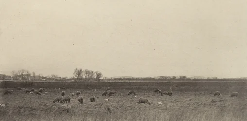 Sümpfe an der Nordsee, 1890-1891, gedruckt 1893