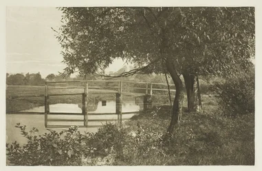 Auf der "Sau," in der Nähe von Waltons Haus in Shallowford