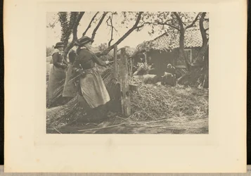 Weidenruten-Schälen. [Norfolk.]
