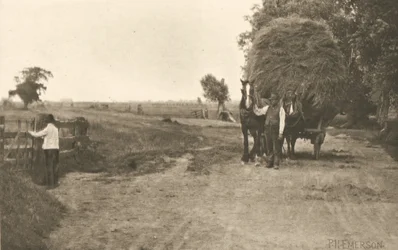 Der Reichtum des Marschlandes