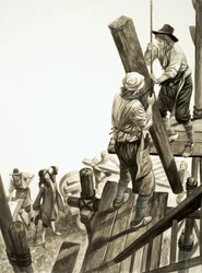 Ein Tag im Leben von Mr. Wren