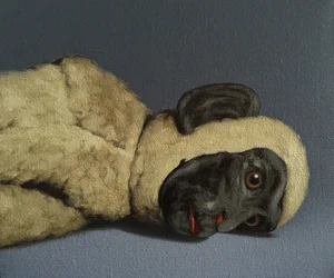 Affe Stillleben
