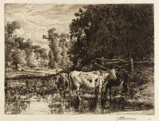 (Am Neshaminy)