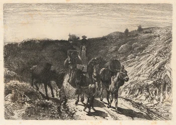 Burro-Zug, New Mexico