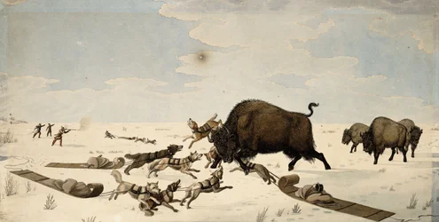 Büffeljagd, ca. 1822-1824