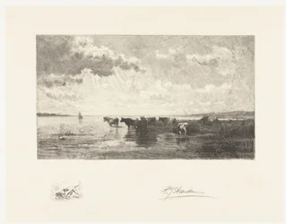 Rinder an einem Teich