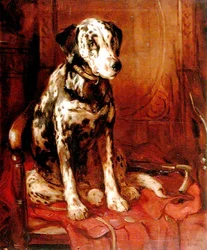 Porträt von Robert