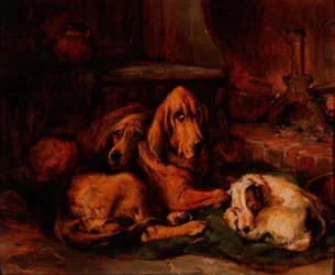 Der Außenseiter