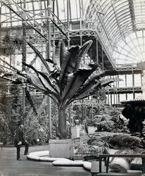 Tropische Pflanzen im ägyptischen Raum, Kristallpalast, Sydenham, London