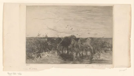 Kühe am Wasser in einer Weide