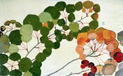 Feuilles d