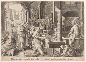 Entwirren der Kokons