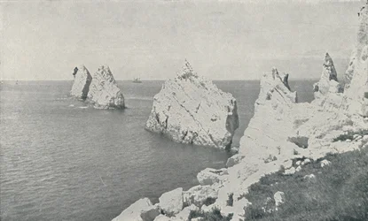 Die Nadeln, 1910