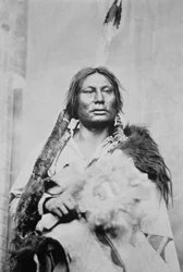 Häuptling Gall (ca. 1840-94)