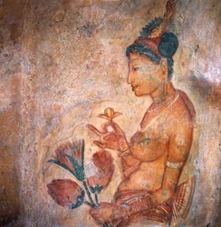 Apsaras, himmlische Nymphe, die Blumen anbietet, Fresko, befestigte Zitadelle von Sigiriya (UNESCO-Welterbeliste)