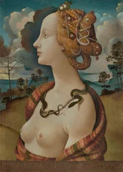 Porträt der Simonetta Vespucci