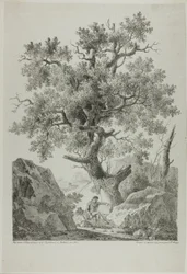 Künstler in einer felsigen Landschaft