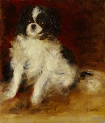 Tama